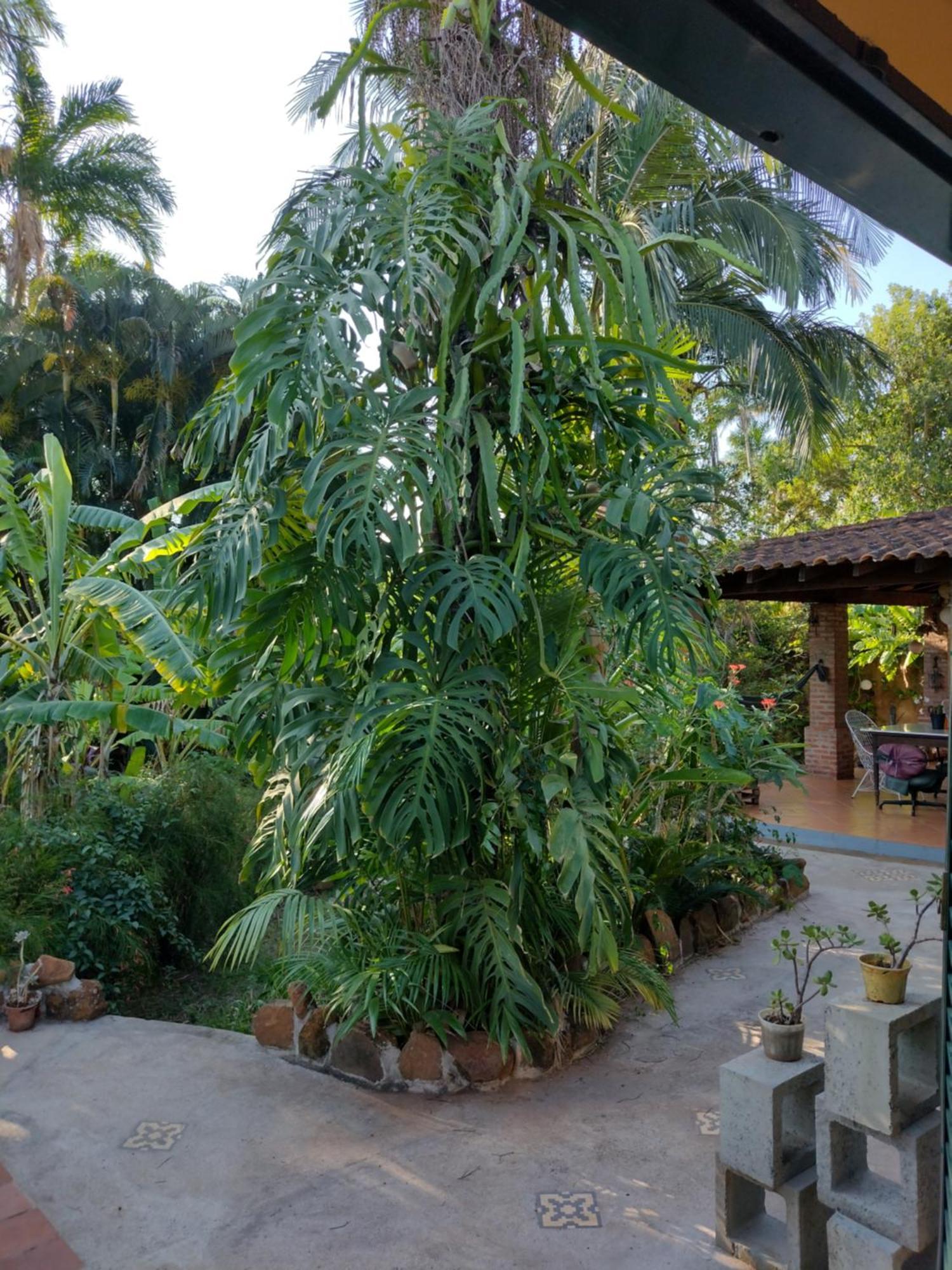 Suites Brotas City Room photo